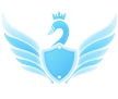 Академия успеха